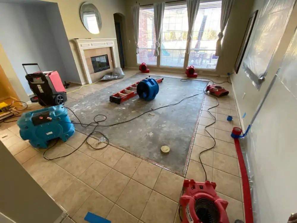 water damage restoration service South Haven